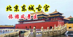 老外舔阴视频中国北京-东城古宫旅游风景区